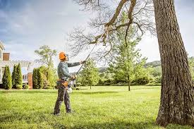 How Our Tree Care Process Works  in  Upper Greenwood Lake, NJ