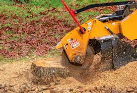 Best Lawn Disease Treatment  in Upper Greenwood Lake, NJ