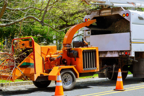 Best Tree and Shrub Care  in Upper Greenwood Lake, NJ